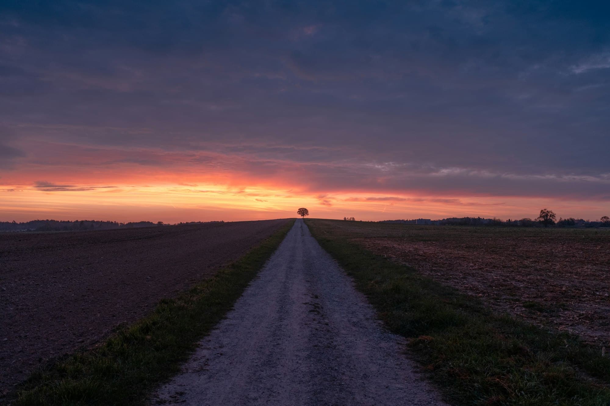 A gravel path running straight toward a lone tree on the horizon under a glowing sunrise sky