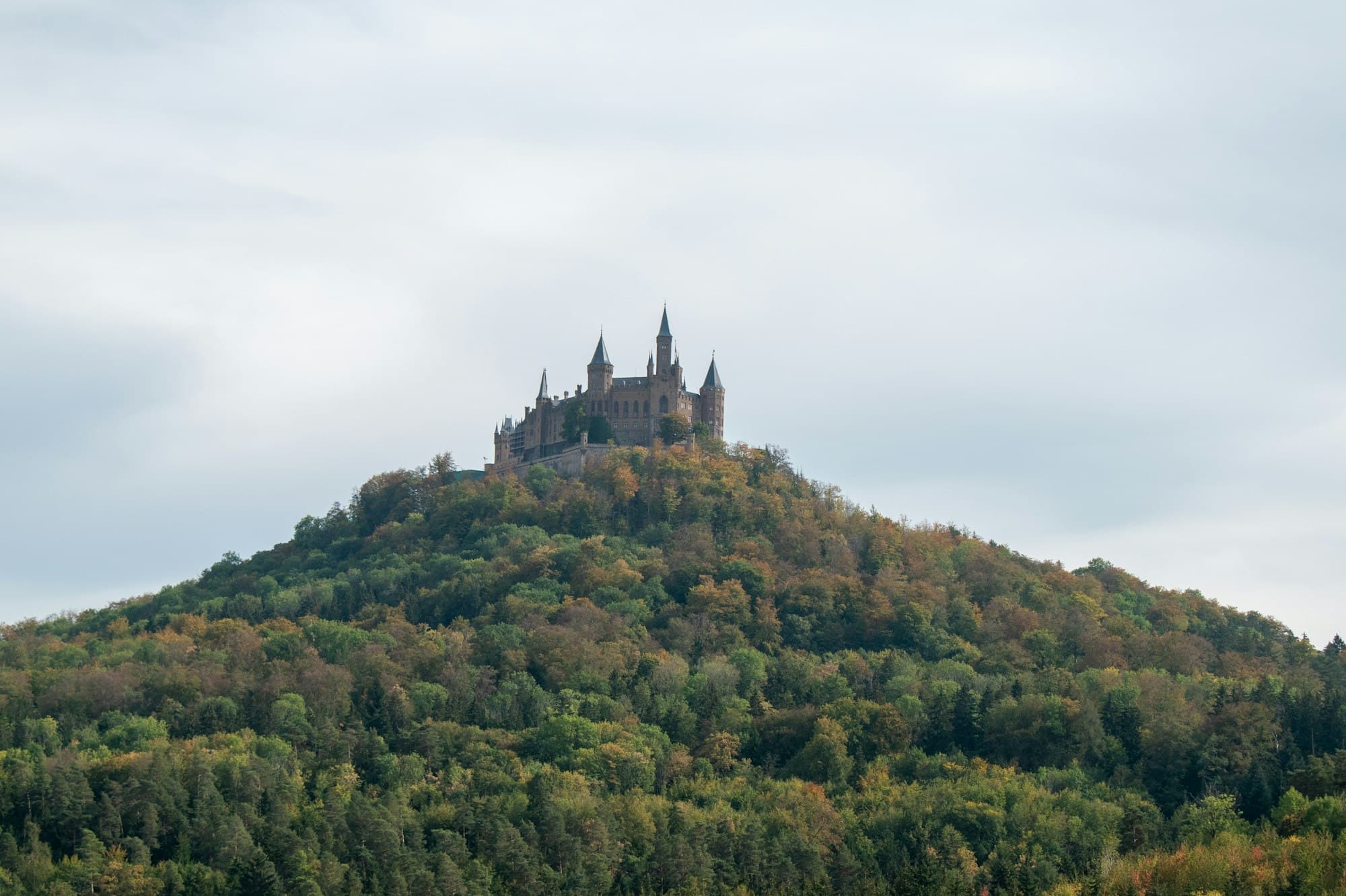 A fairytale castle with pointed turrets on top of a forested hill under a pale sky