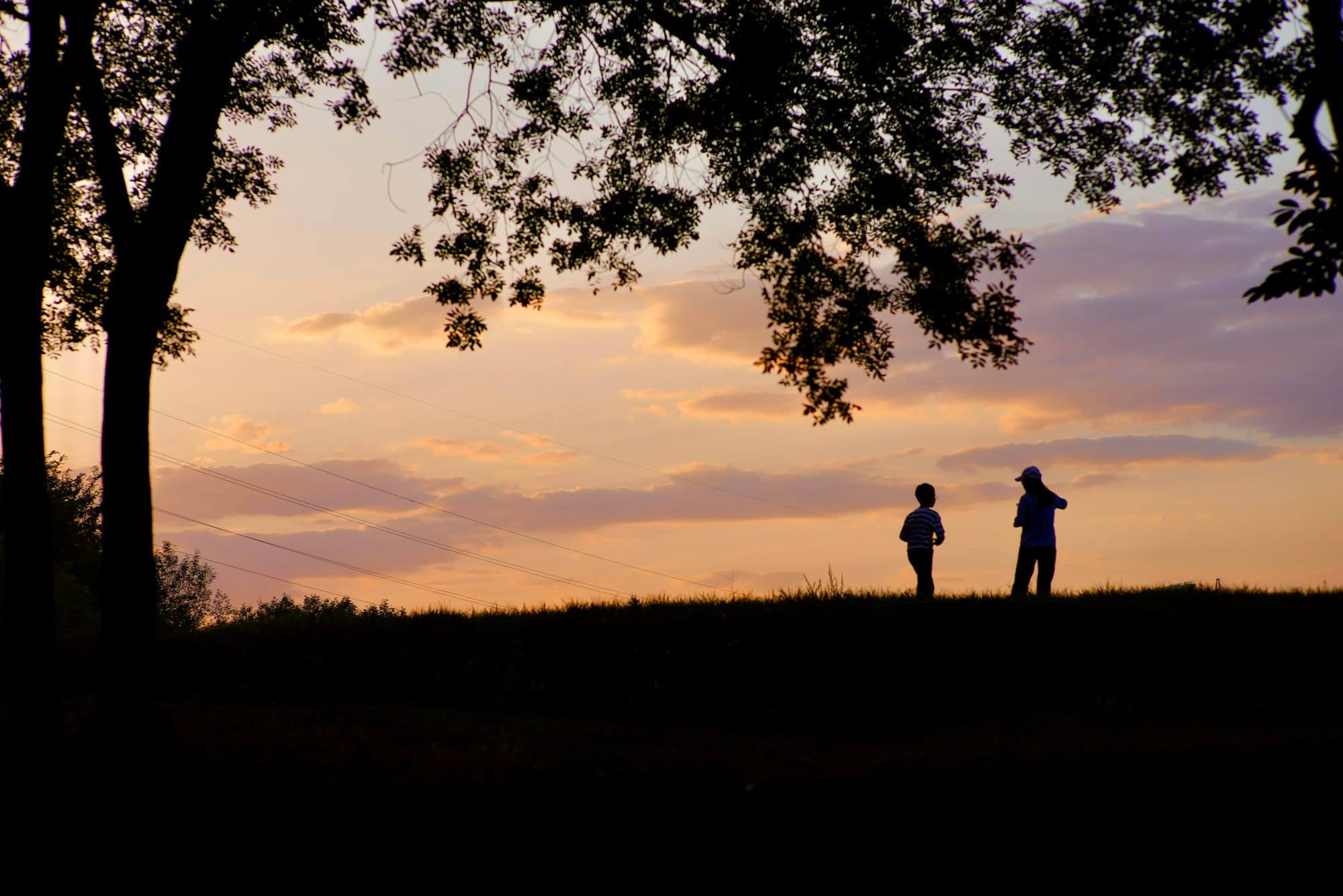 Two silhouetted figures, one taller and one smaller, standing on a hill under trees against a warm sunset sky