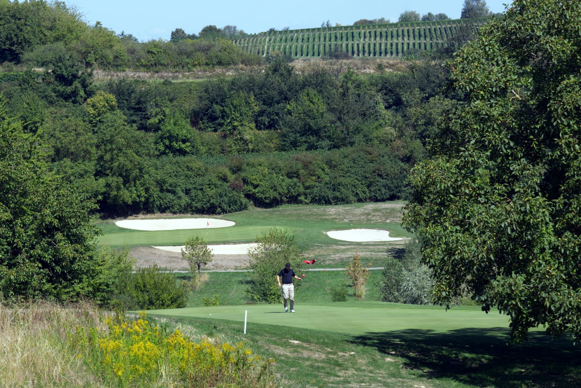A golfer on a green framed by sand bunkers and trees