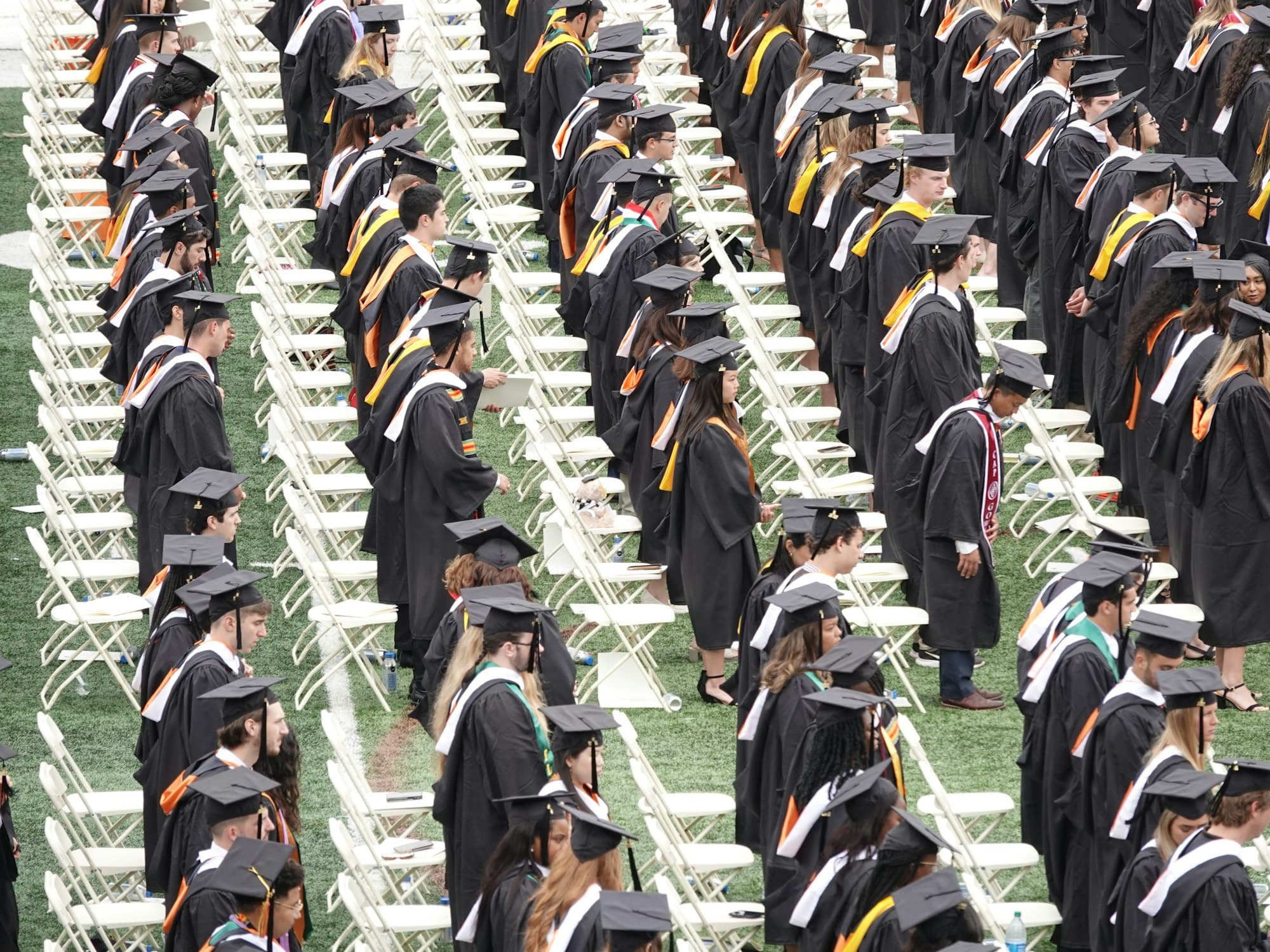 Graduates in black caps and gowns standing in rows on a green campus lawn