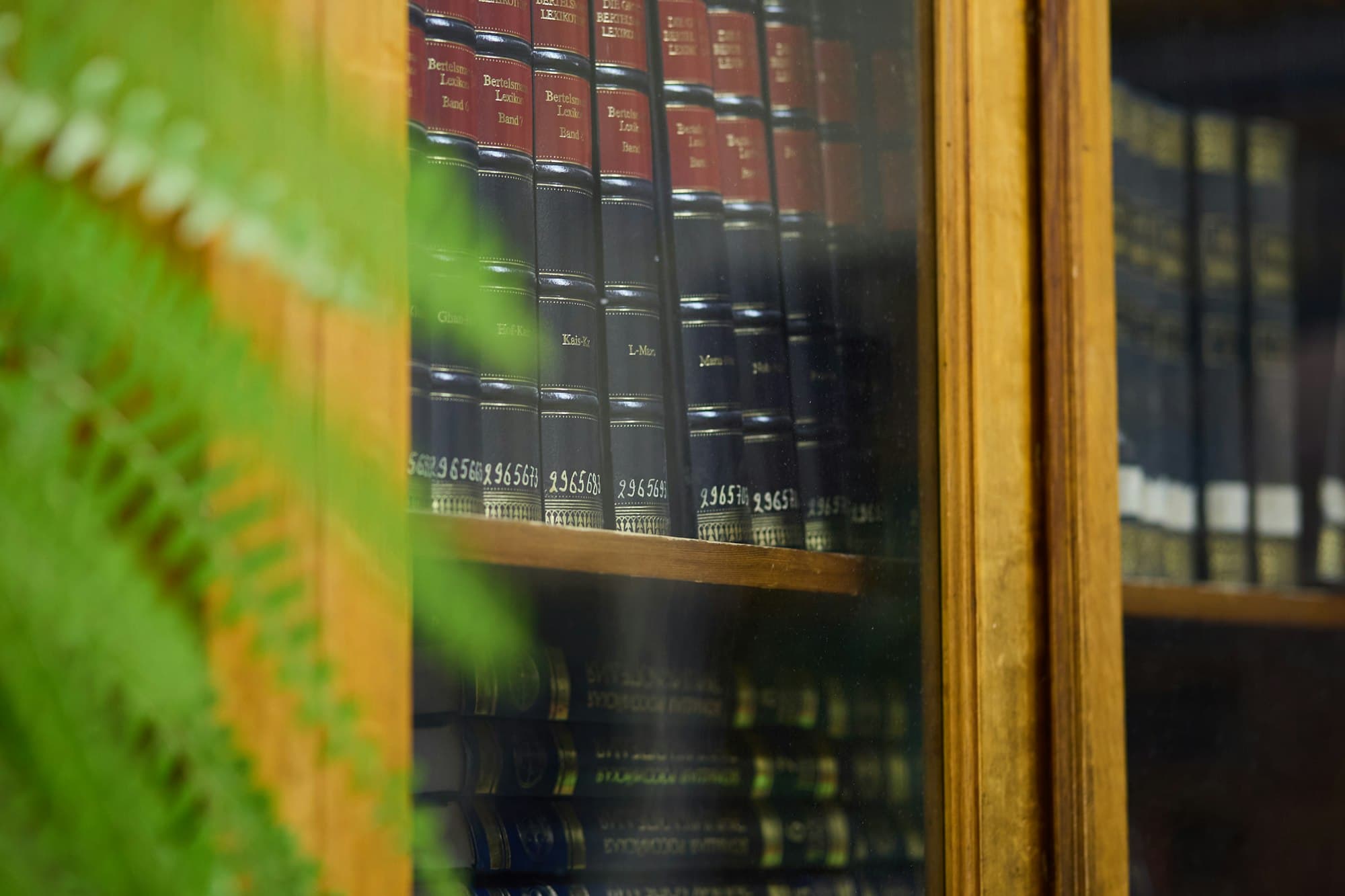 Rows of dark bound reference volumes behind a glass cabinet door with a fern in the foreground