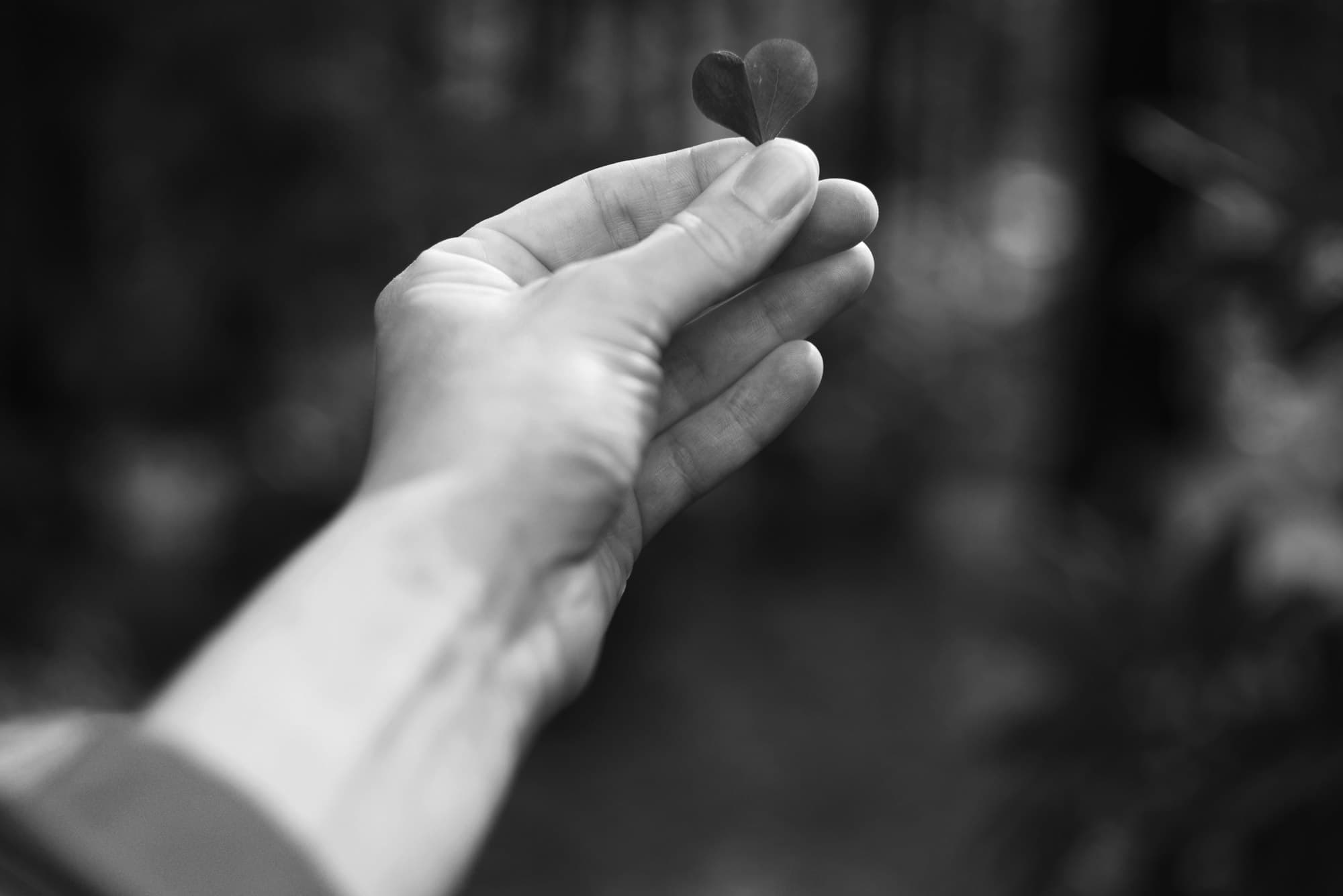 A hand holding up a small heart-shaped leaf against a dark blurred background