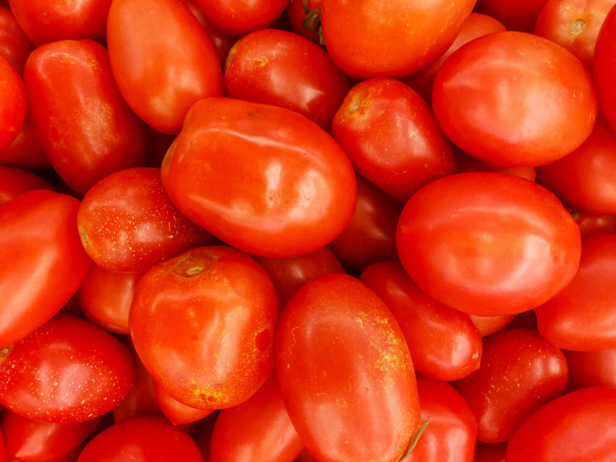 A pile of ripe red Roma tomatoes filling the frame