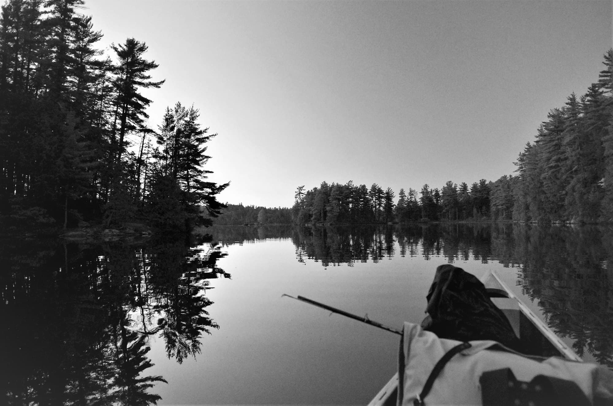 A fishing rod extending from a canoe on a calm lake edged by pine trees