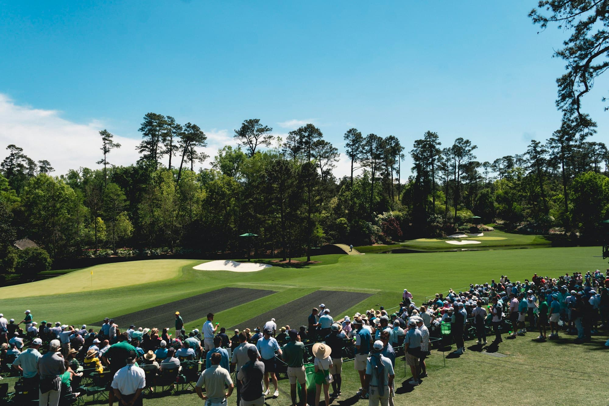 A gallery of spectators seen from behind watching tournament golf on a manicured course lined with pines
