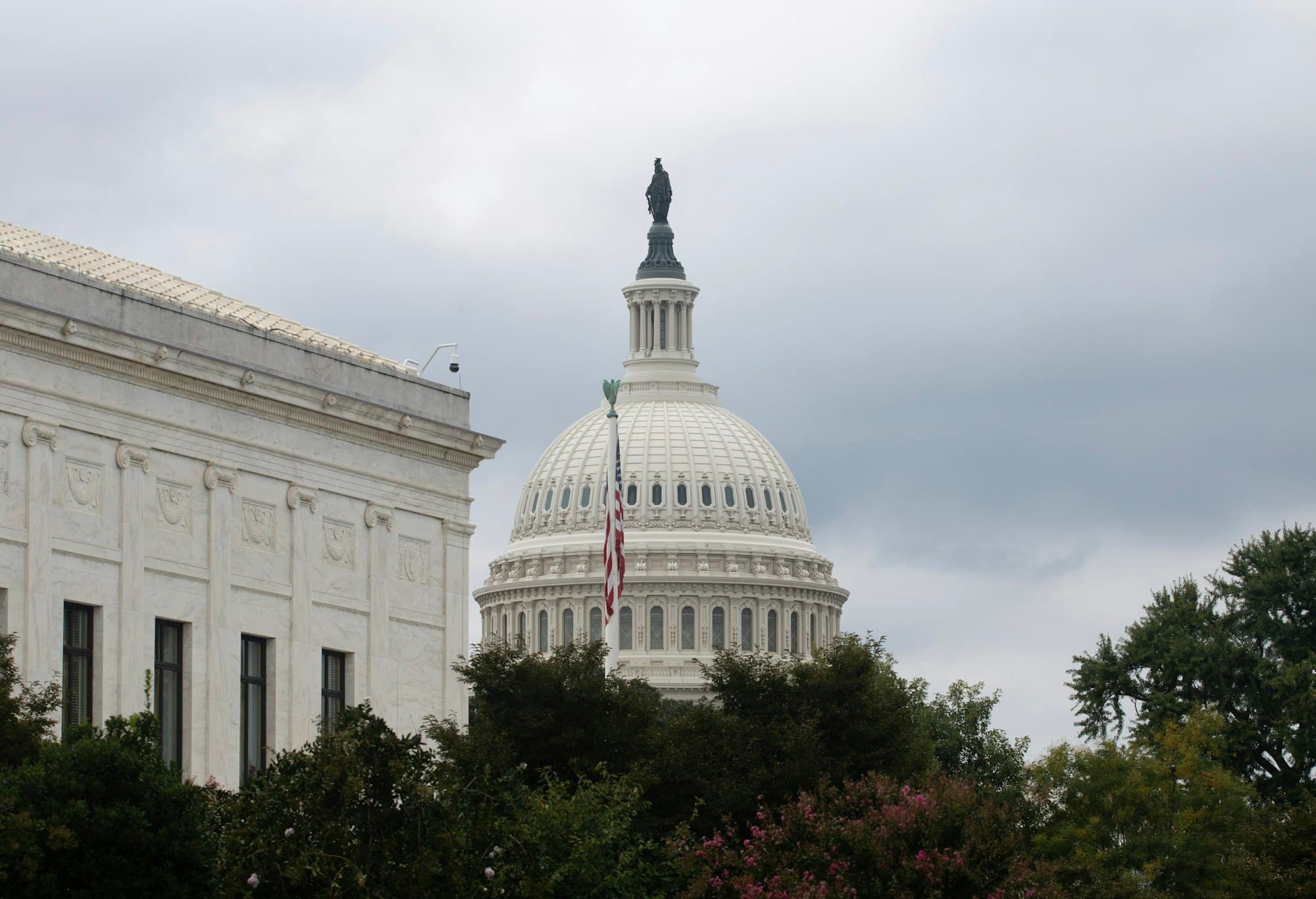The U.S. Capitol dome and an American flag rise above trees under a cloudy sky