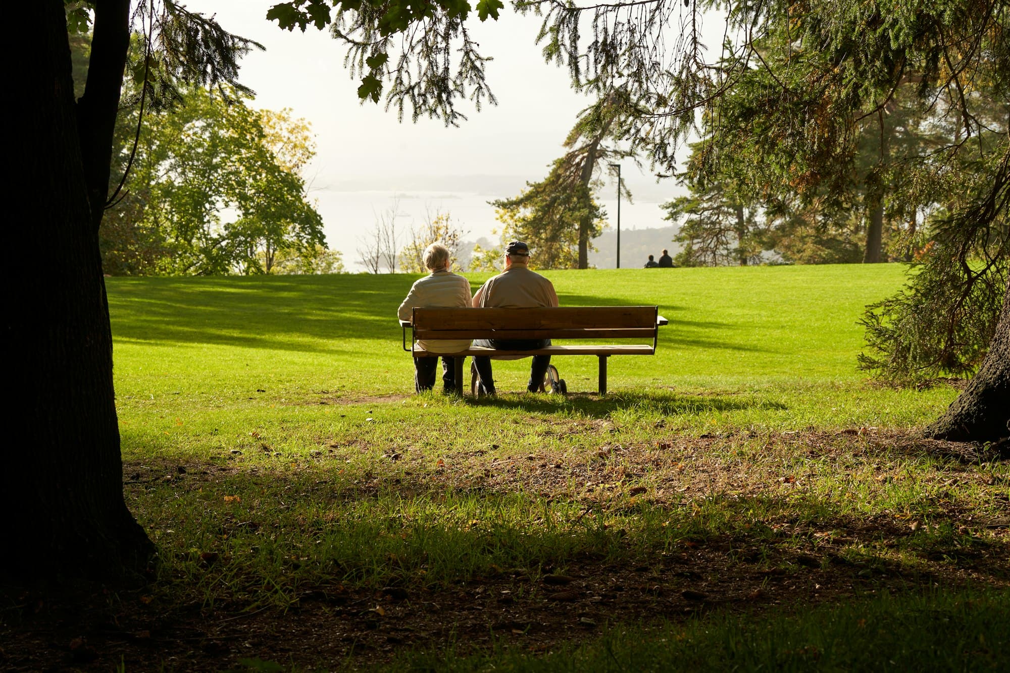 An older couple seen from behind on a park bench overlooking trees and a distant fjord