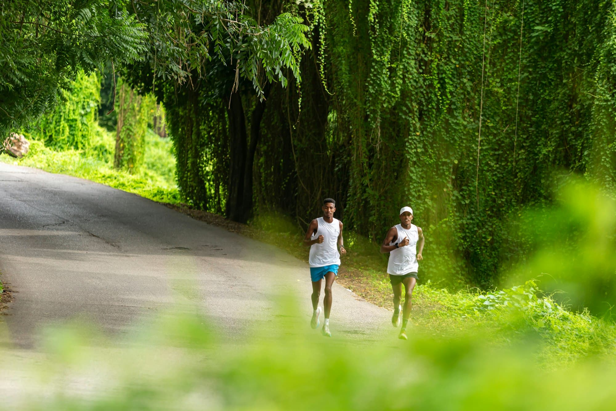 Two runners in vests on a paved road beside hanging green vines