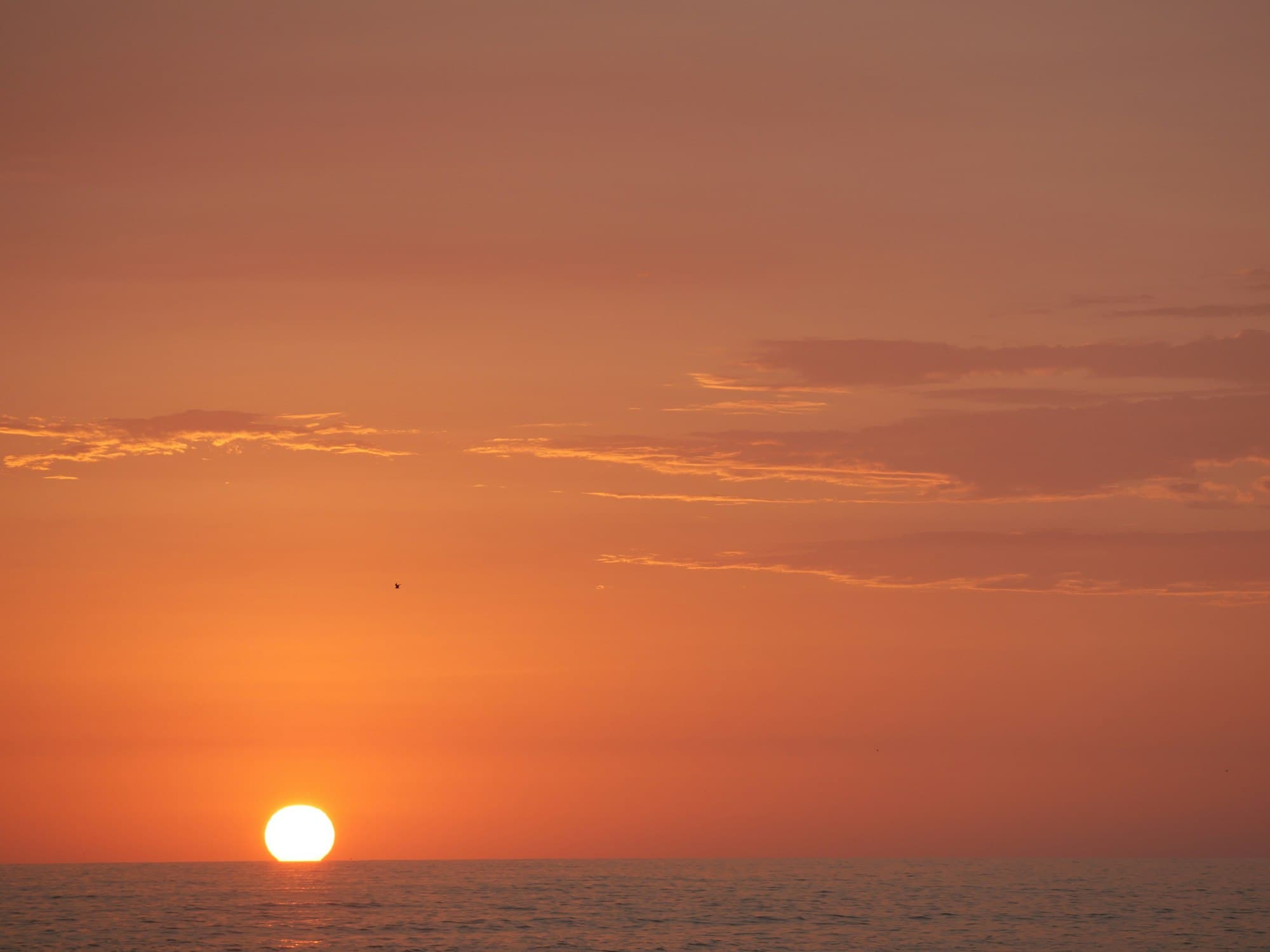 The low sun on the horizon above a calm sea under an orange sky