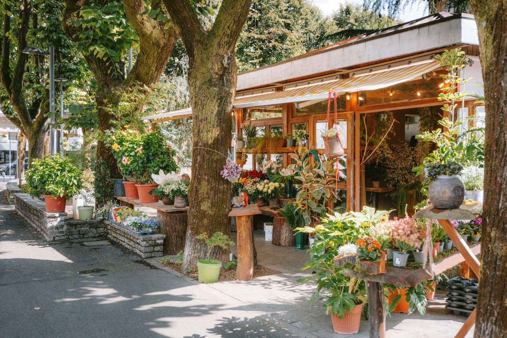 A small flower shop with potted plants and blooms set out along a shaded sidewalk