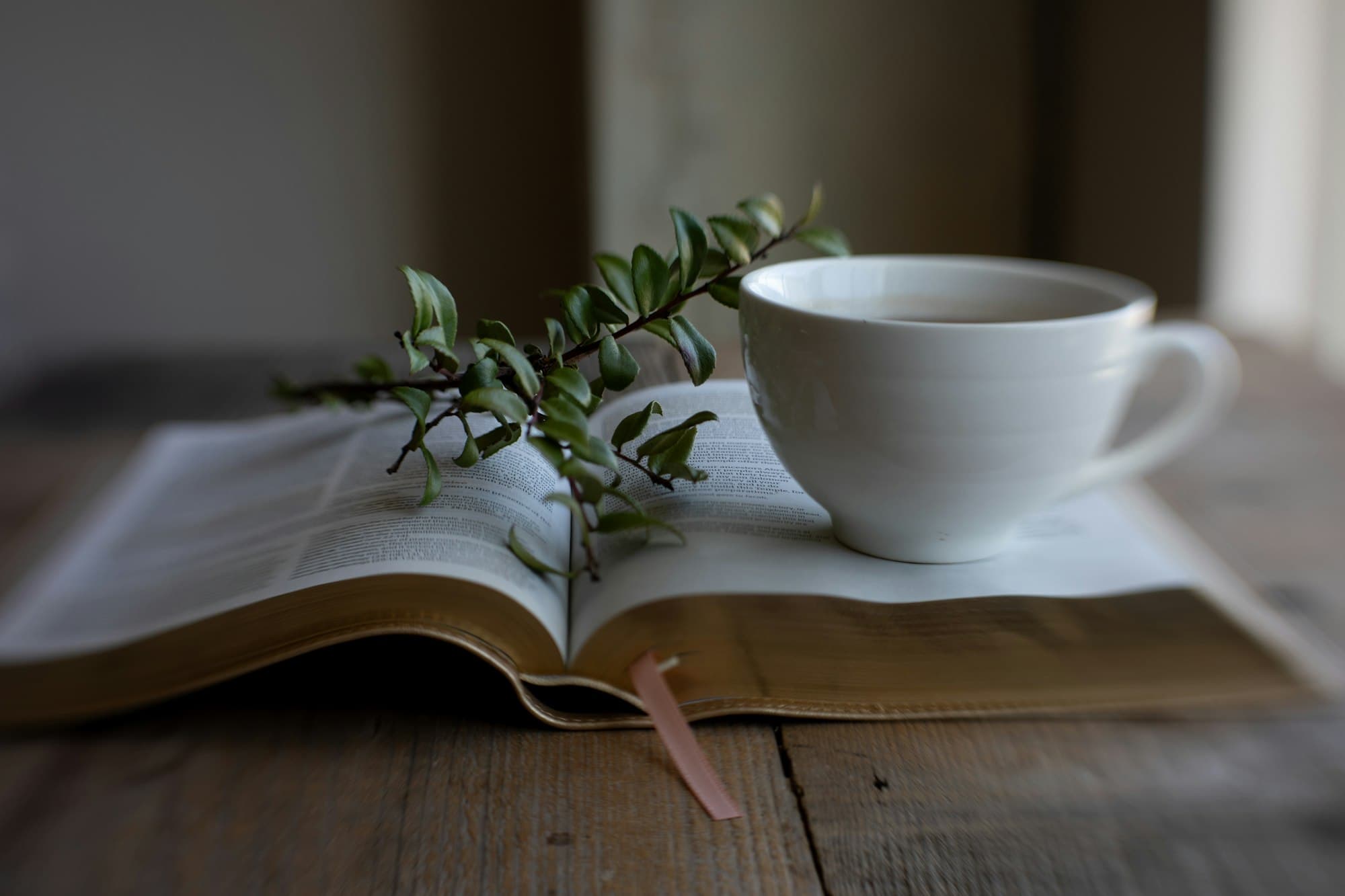 An open Bible with gilt edges and a ribbon marker lies on a wooden table under a white cup and a sprig of leaves