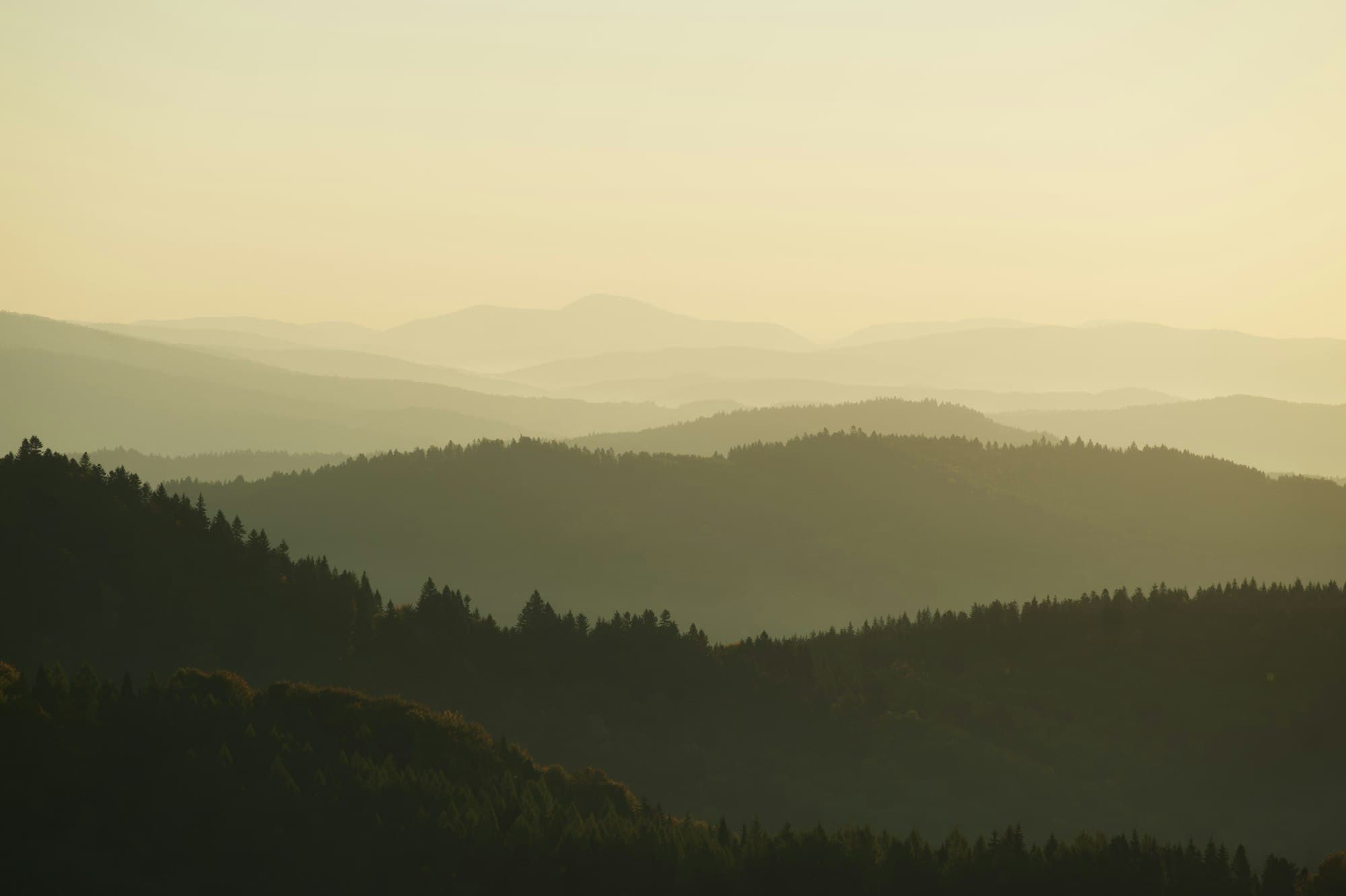 Layered forested mountain ridges fading into warm golden haze