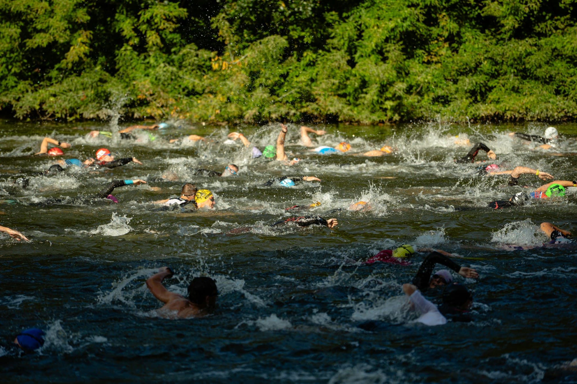 Triathletes swim in a river during a race